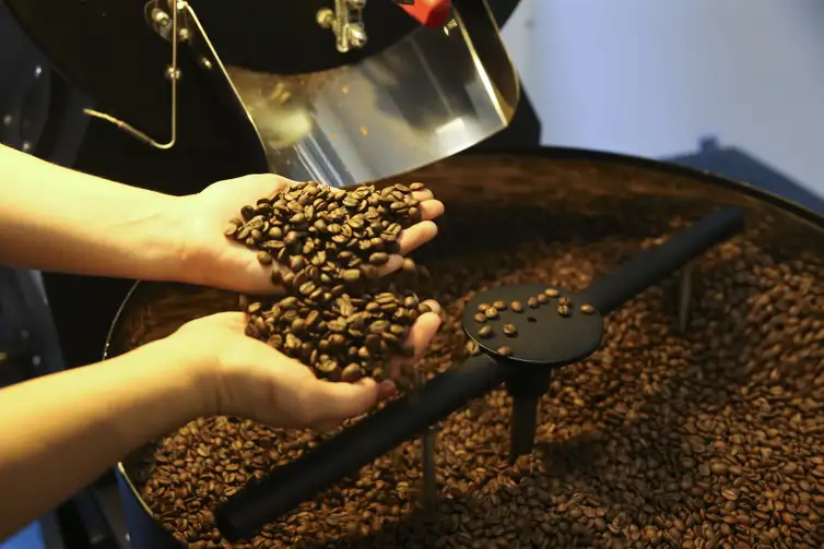 Marcello Casal jr/Agência Brasil Pequenas torrefações preparam grãos especiais de café