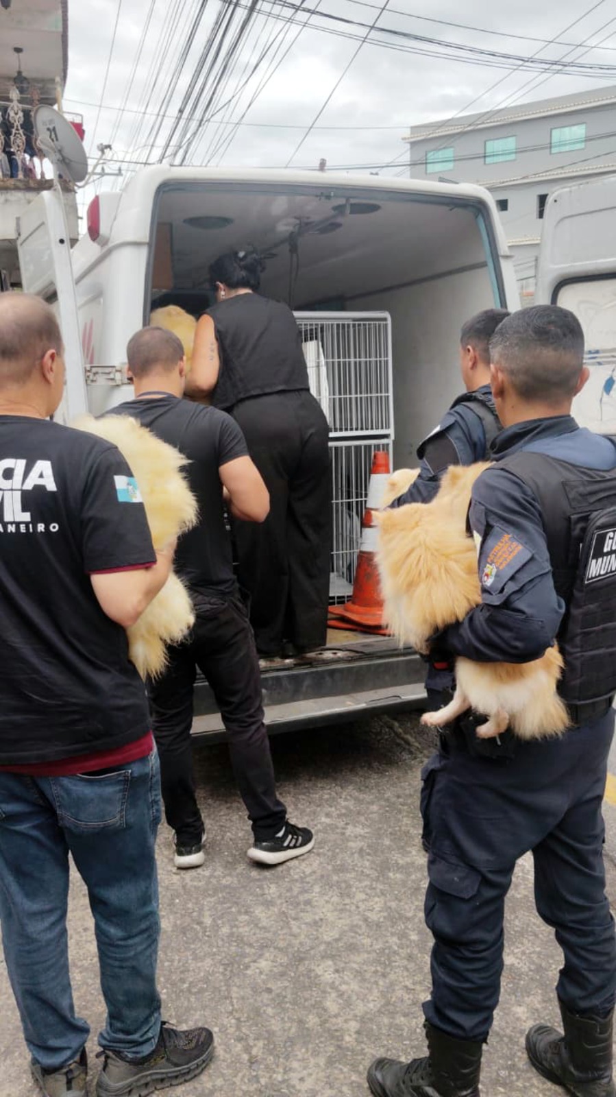 Ação da Prefeitura de Volta Redonda e Polícia Civil fecha canil clandestino e resgata cães vítimas de maus-tratos no Siderlândia