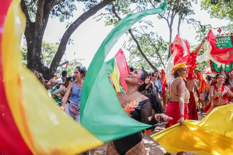 Brasília (DF), 17/02/2026 -Carnaval de rua no Bloco Calango Careta.
Foto: Joédson Alves/Agência Brasil