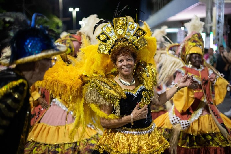 Carnaval 2026: Bloco da Vida leva enredo ‘Baile de Máscaras’ para a avenida neste sábado (14), em Volta Redonda
