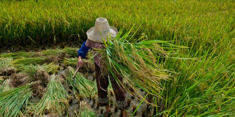 Promulgado protocolo da OIT contra trabalho forçado