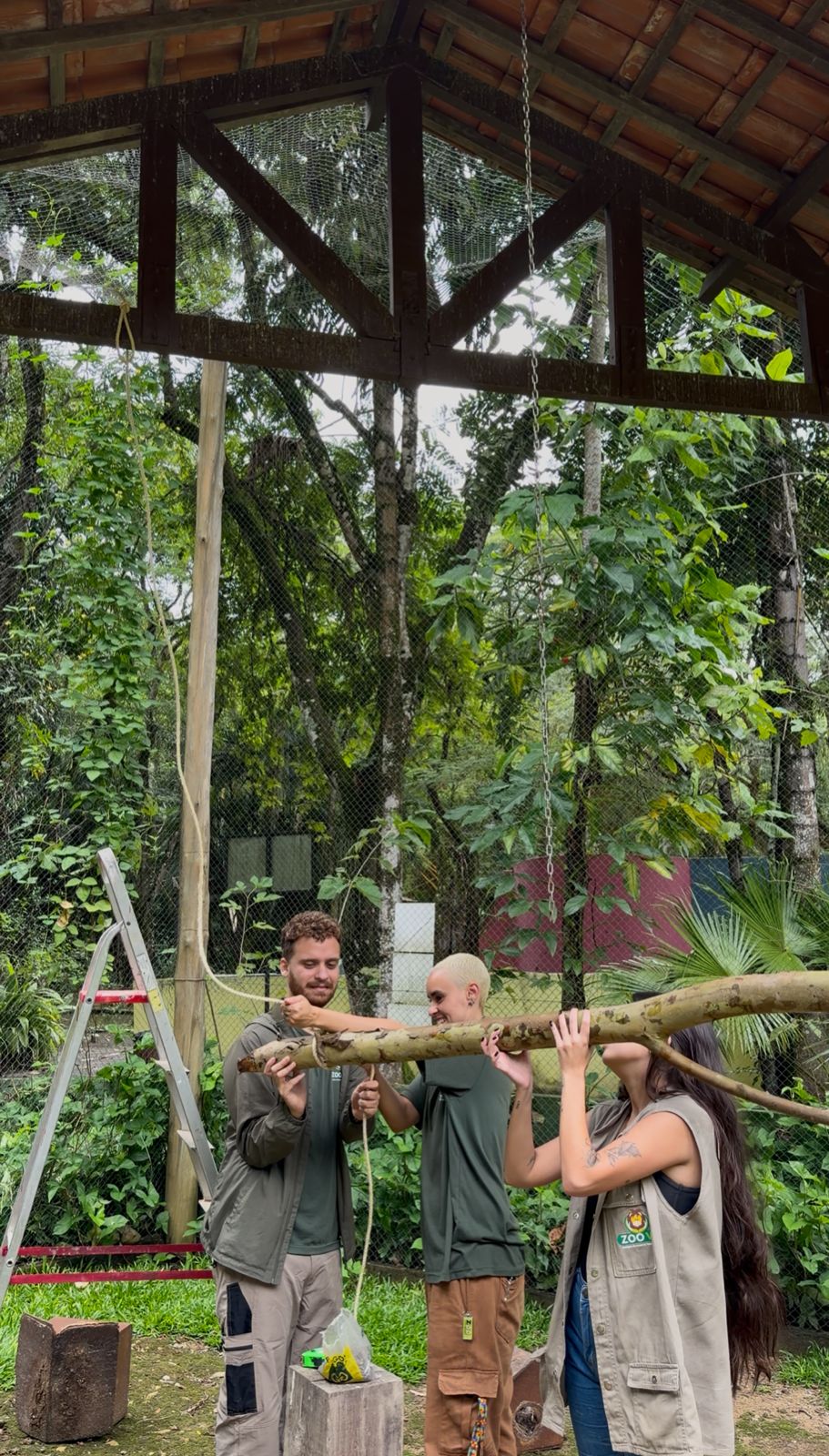 Volta Redonda: Recinto de imersão do Zoo-VR é revitalizado e reabre com melhorias e novos animais