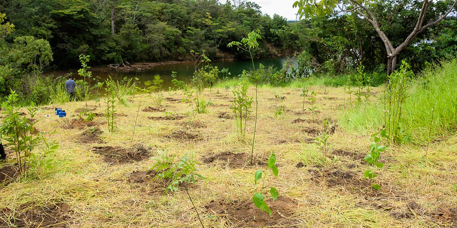 Parque não inclui área destinada a salvar BRB, diz associação