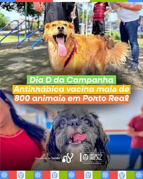 Dia D da Campanha Antirrábica vacina mais de 800 animais em Porto Real