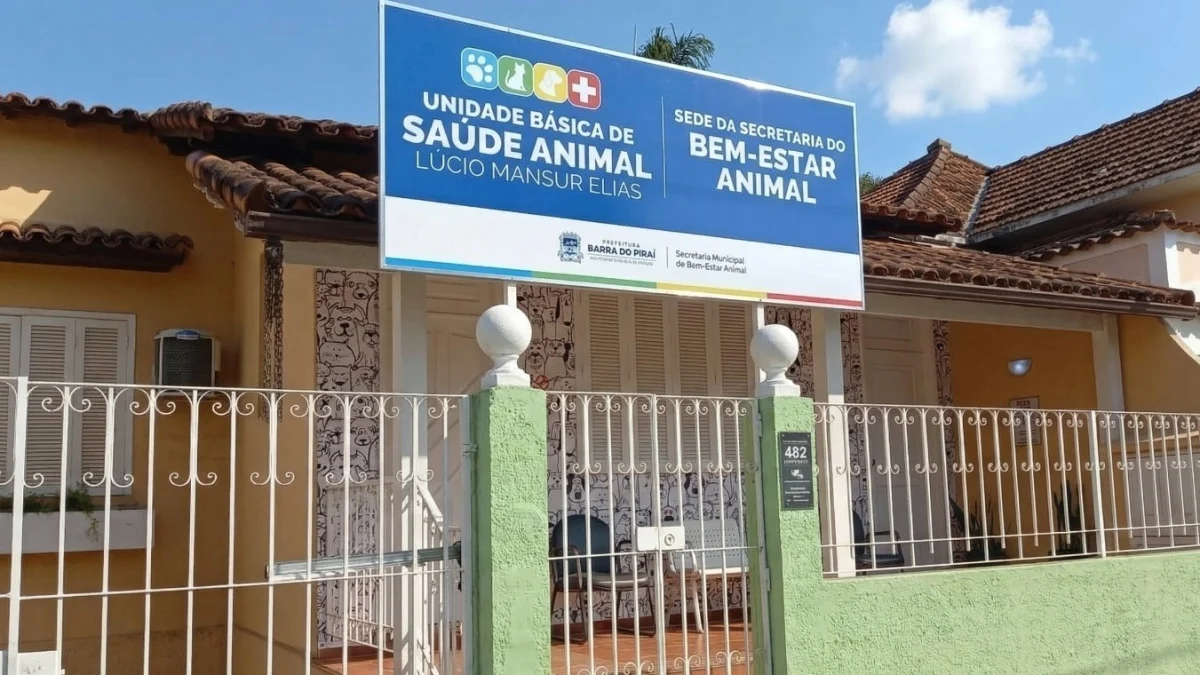Outubro Rosa Pet: Bem-Estar Animal lança campanha de prevenção e cuidado para cadelas e gatas