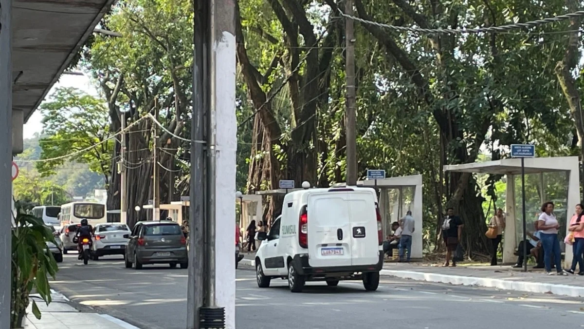 Rua no Centro será interditada neste domingo para realização de poda preventiva
