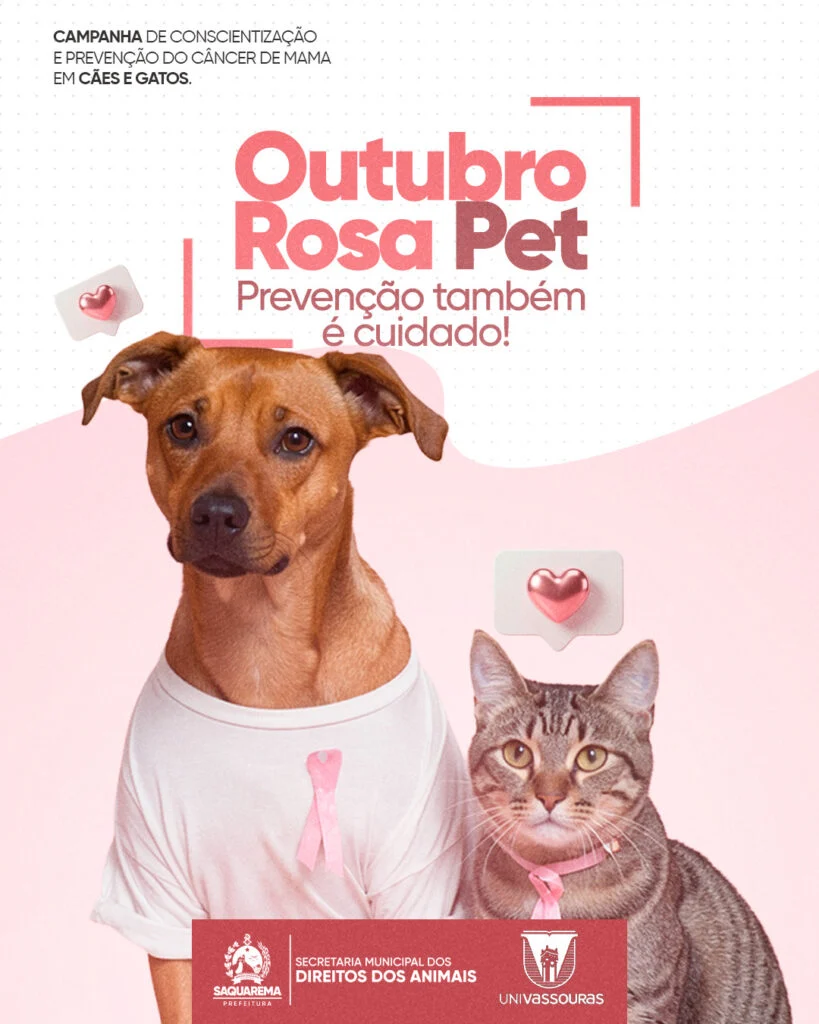 Saquarema promove campanha Outubro Rosa Pet com ações de conscientização sobre o câncer de mama em cães e gatos