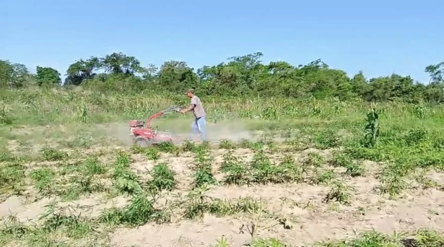 *‘Todo conhecimento é bem-vindo’, diz agricultor que recebe apoio da Prefeitura de Araruama para melhorar a produção e ampliar vendas*