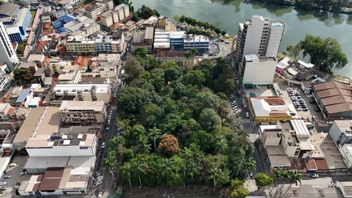 Vagas de estacionamento e trecho da Rua Duque de Caxias serão interditados neste sábado para plantio de palmeiras